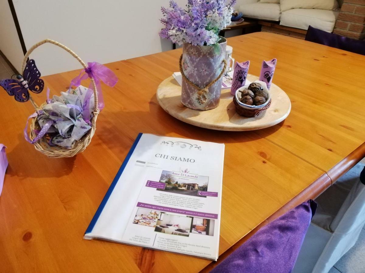 Amor Di Lavanda Cingoli Eksteriør bilde