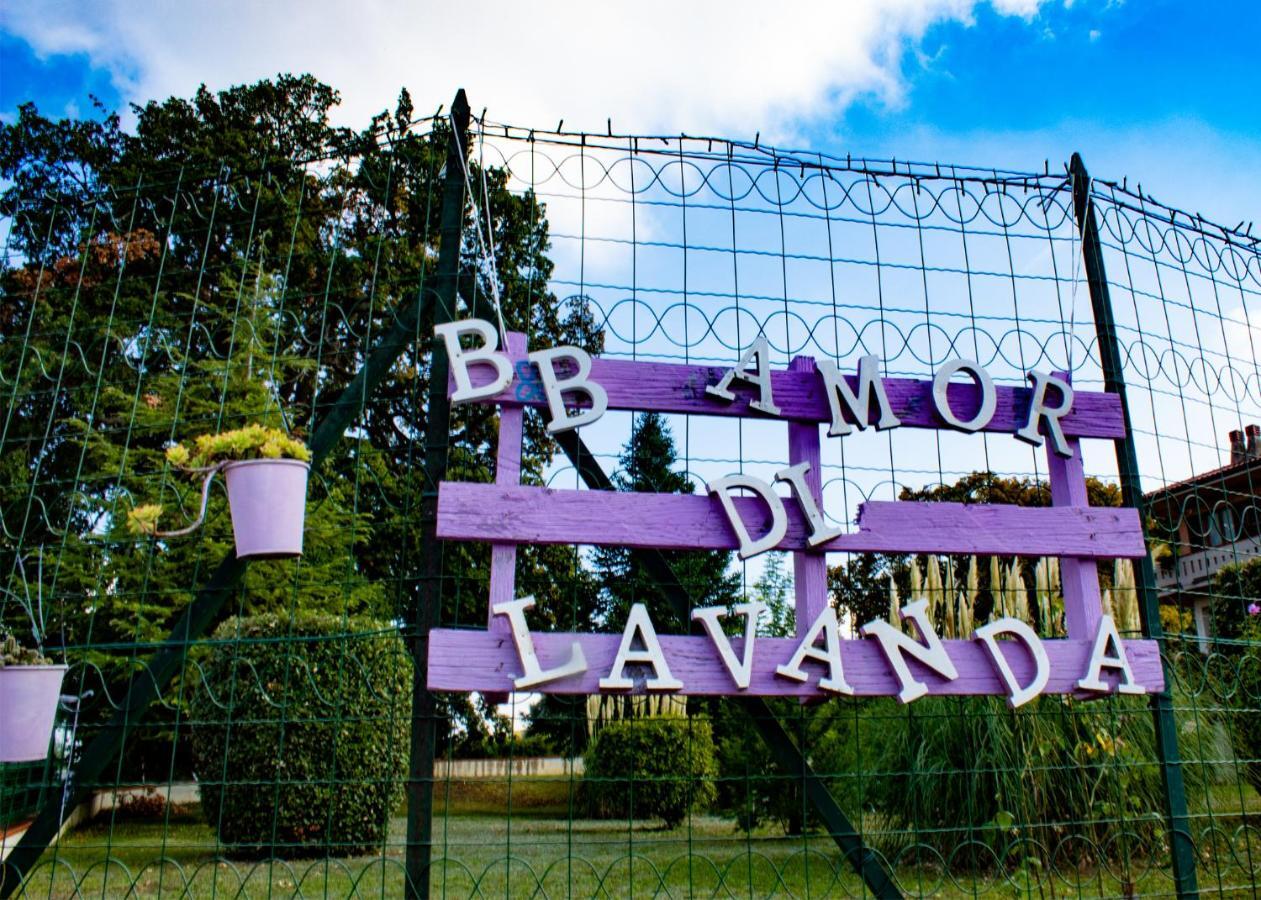 Amor Di Lavanda Cingoli Eksteriør bilde